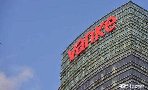 万科爆料最新消息视频,揭秘项目进展与未来规划  第1张